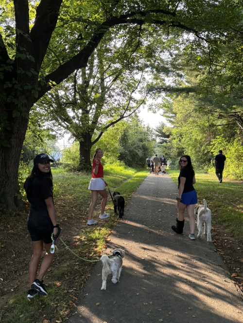 10kMC Walk Photo